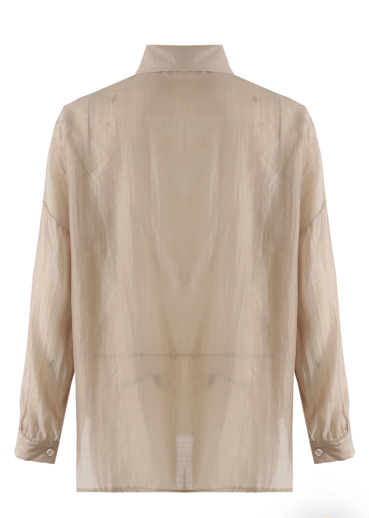 Beige Sheer Embellished Oversized Blouse