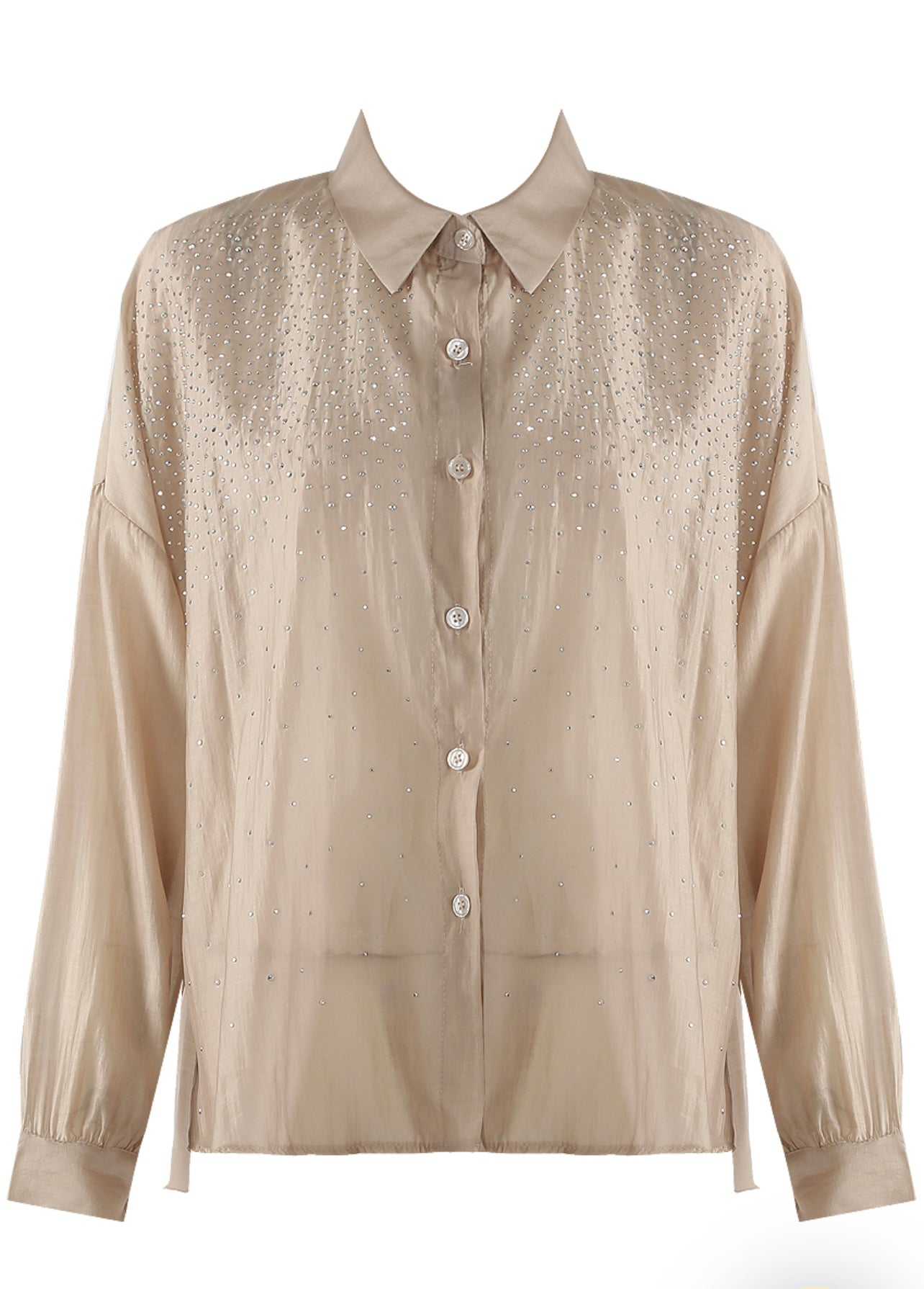 Beige Sheer Embellished Oversized Blouse