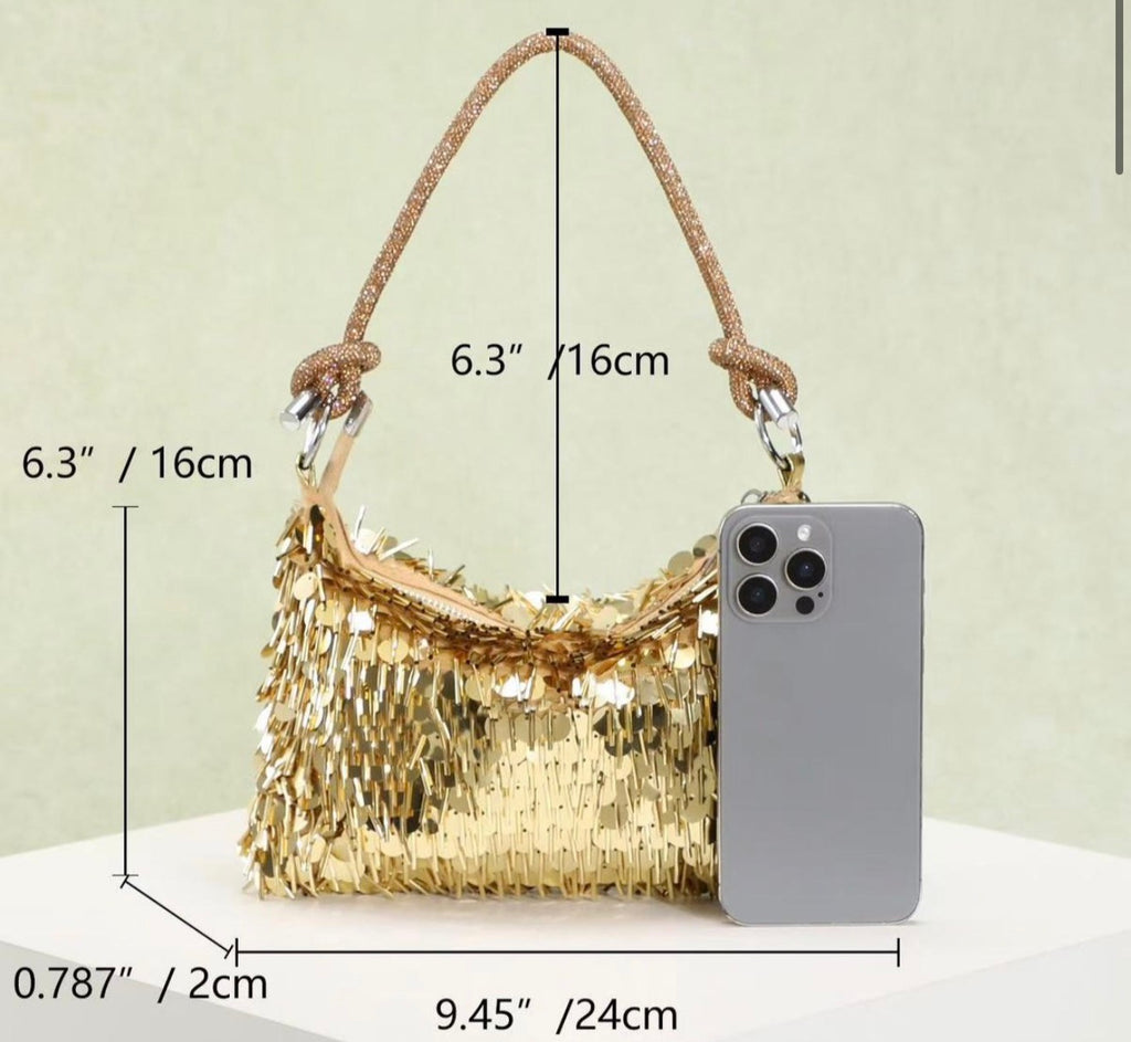 Gold Sparkle and Shine Silver Fringe Bag