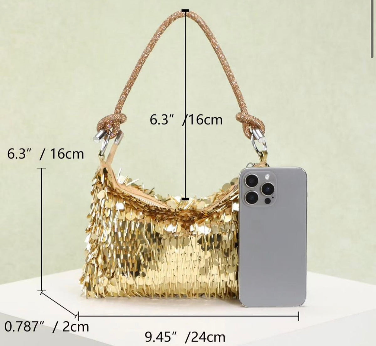 Gold Sparkle and Shine Silver Fringe Bag