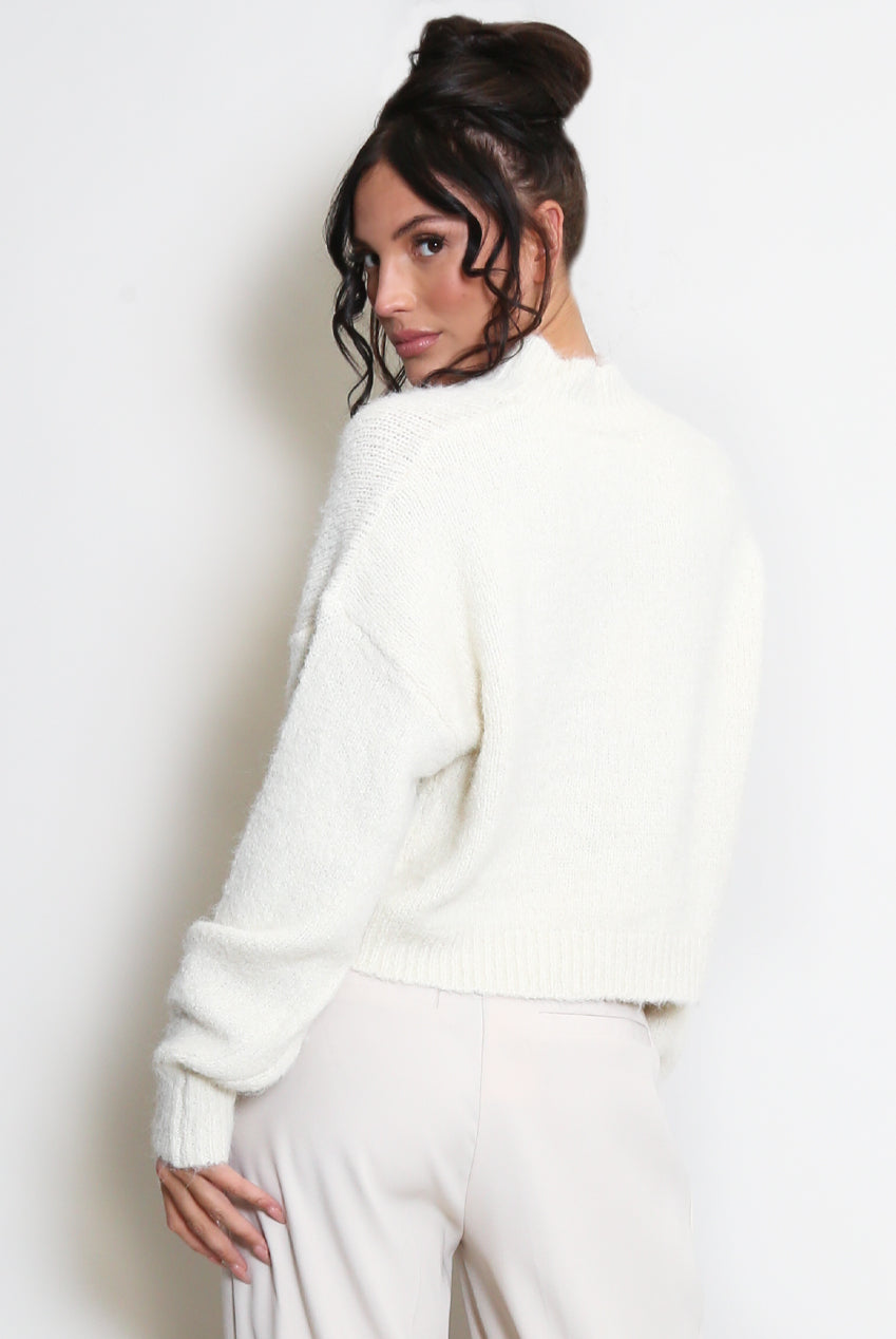 Beige Mohair Knit High Neck Jumper